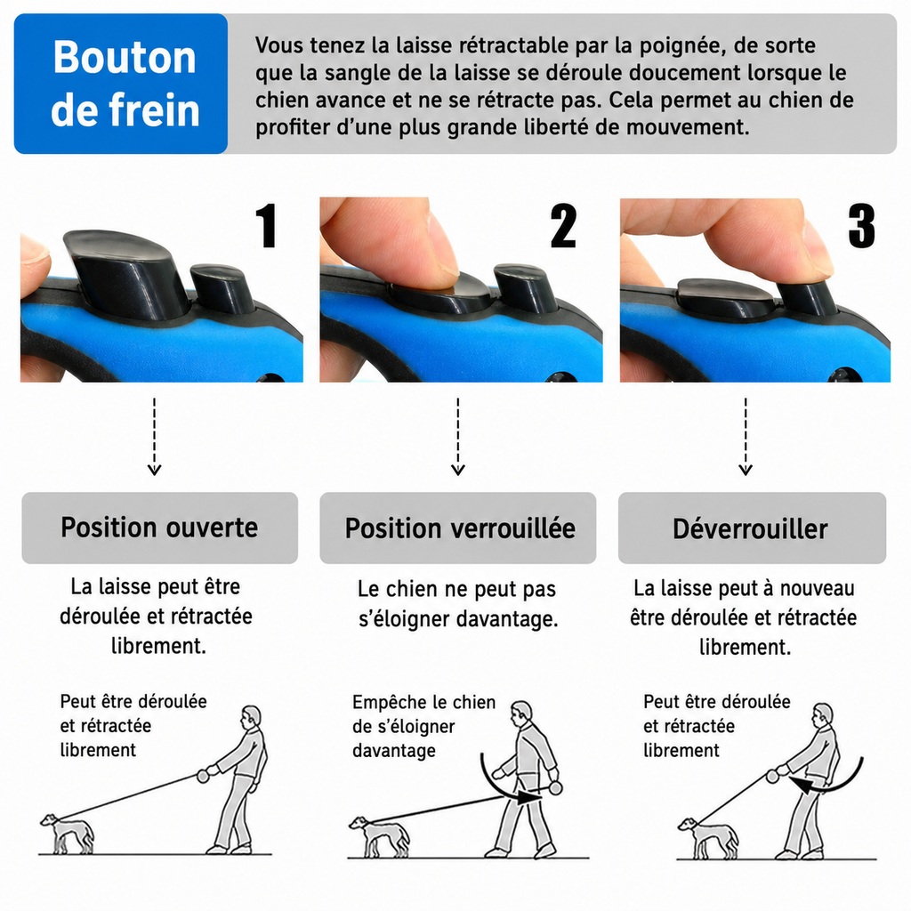 Laisse rétractable 5m premium